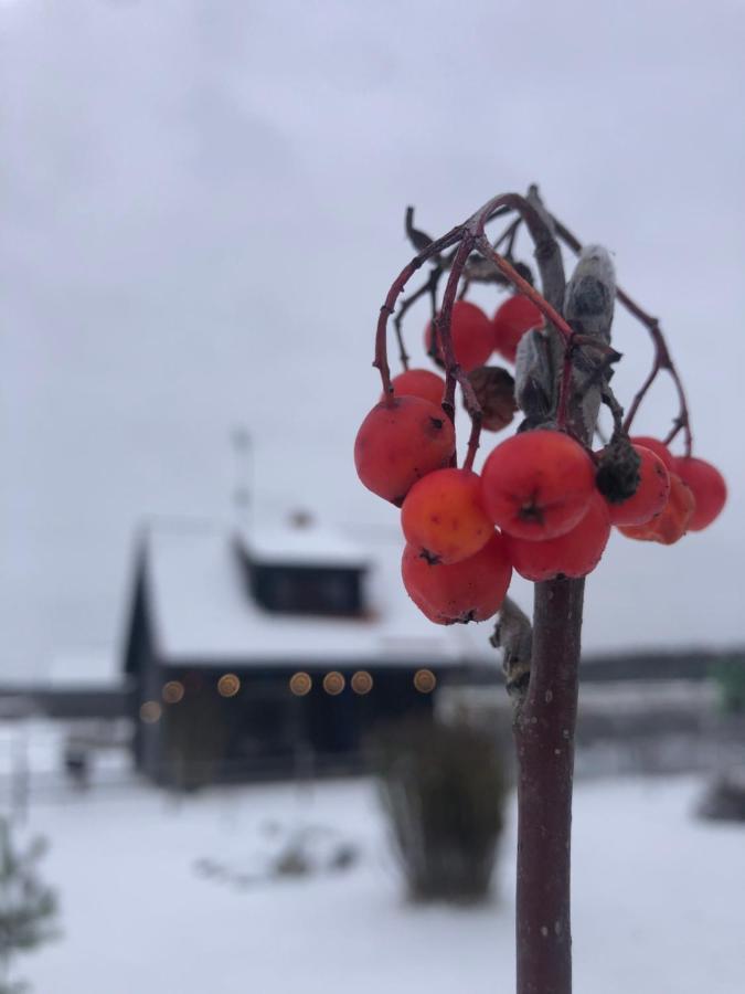 Vanaga Namins Sigulda Eksteriør bilde